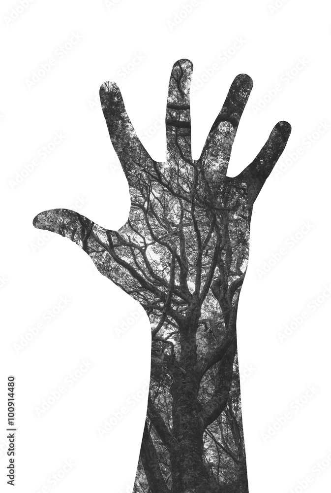 Obraz premium Double exposure image of hand and lush forest