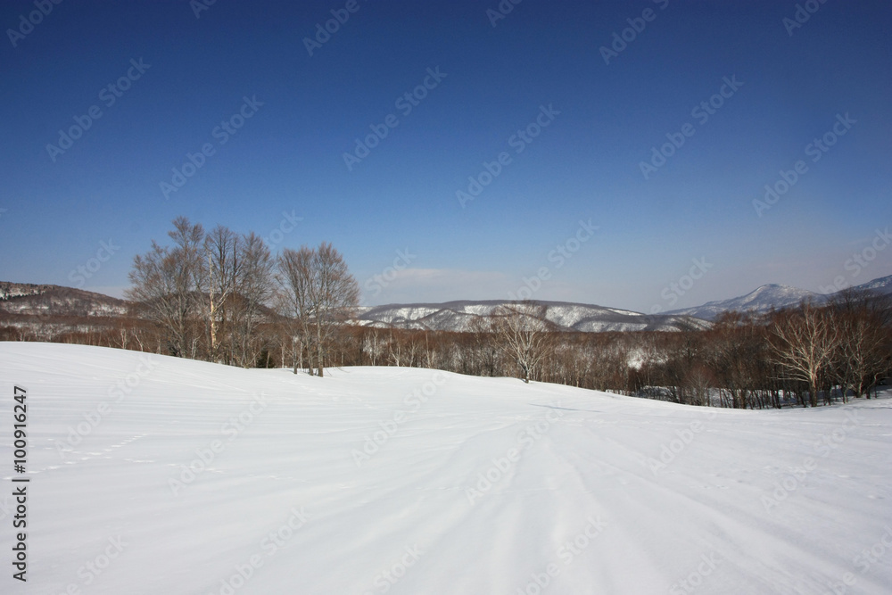 Obraz premium 雪原と青空