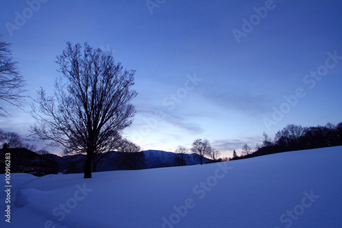 夜明け前の雪原