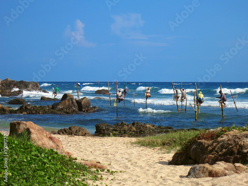 Beach with fishermen at sticks in Weligama bay, Sri Lanka photo