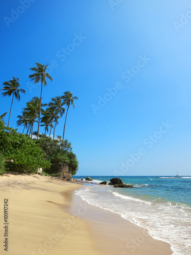 Green palms at empty beach in Weligama bay, Sri Lanka