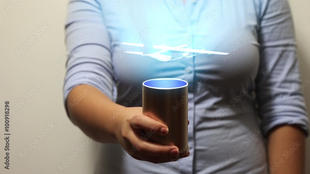 Flight hologram Flight hologram