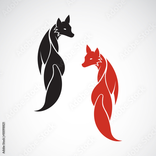 Vector image of an fox design on white background