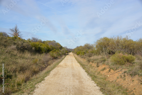 camino de montaña