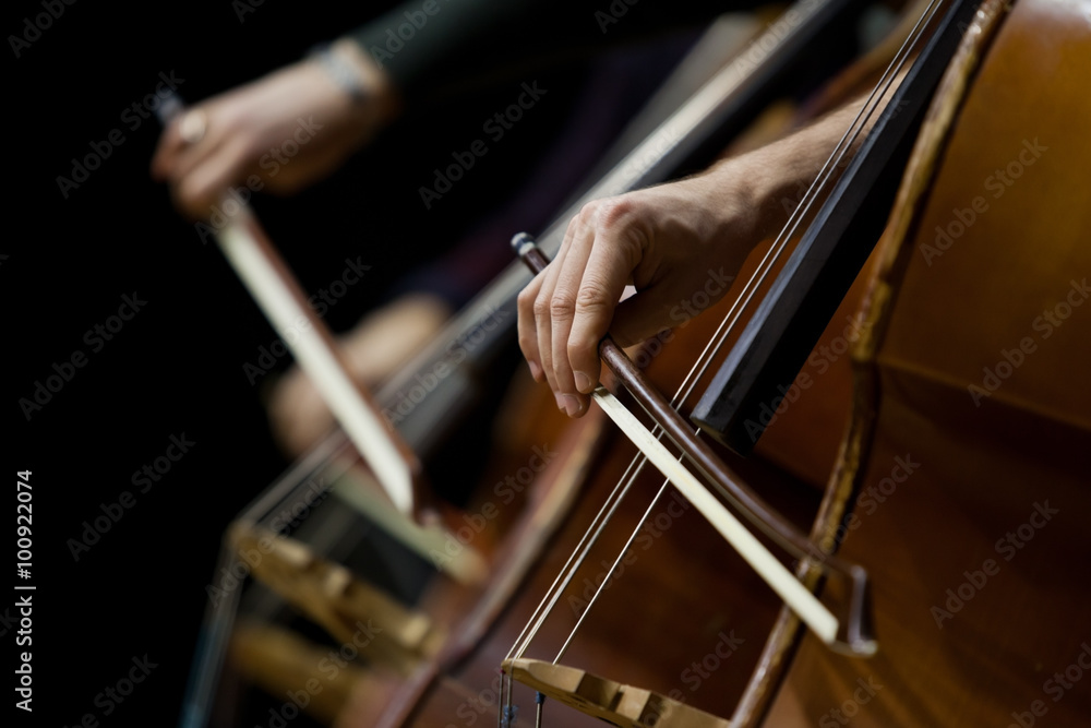 Detail basses in a symphony orchestra Detail basses in a symphony orchestra