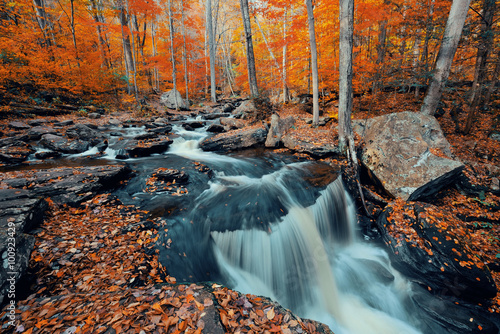 Autumn waterfalls photo