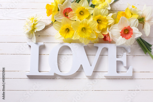 Fresh yellow narcissus flowers and word love