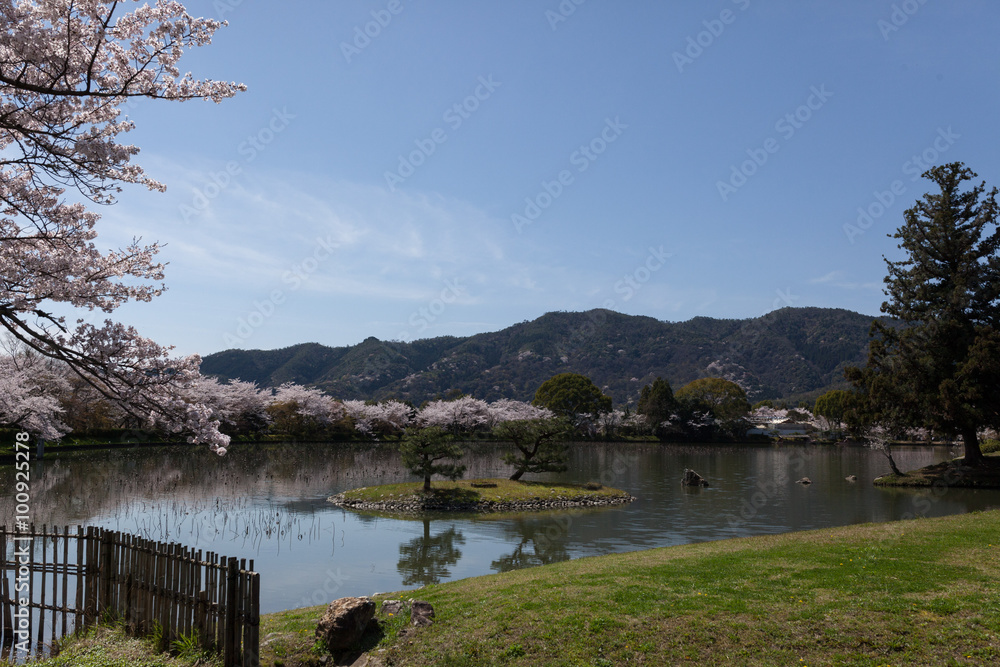大覚寺