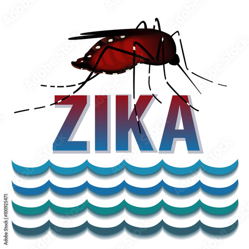 Zika Virus mosquito, standing water, graphic illustration.