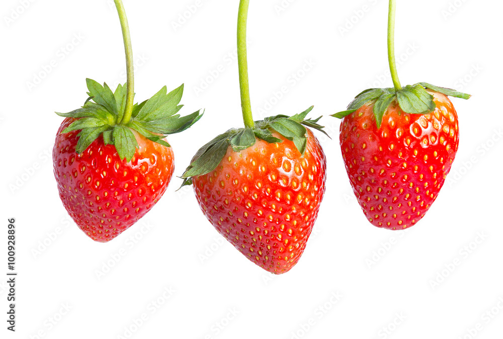 Red strawberries on white background Red strawberries on white background