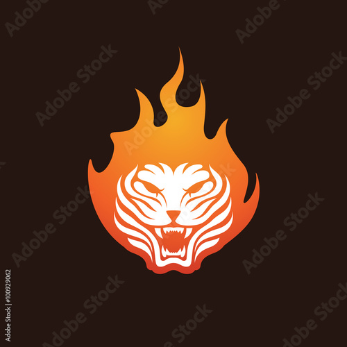Fototapeta Naklejka Na Ścianę i Meble -  Tiger Fire Icon Logo