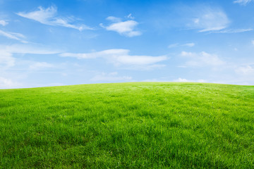 Fotobehang Zomer Groen grasveld en blauwe lucht  © ABCDstock
