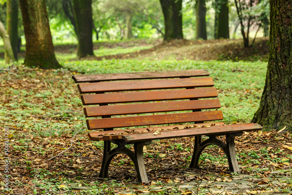 wooden bench in the quiet city park wooden bench in the quiet city park