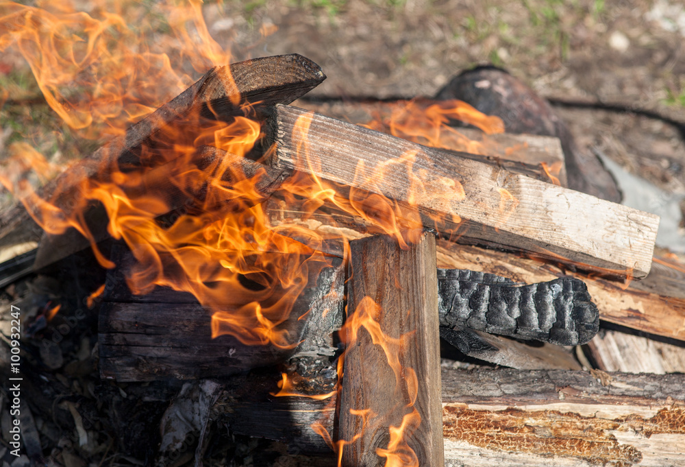 Fototapeta premium burning wood closeup