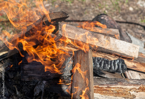 burning wood closeup © Maslov Dmitry