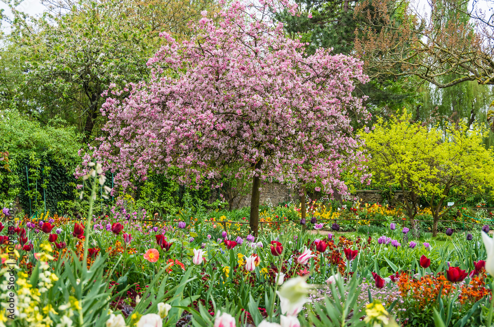 Beautiful Claude Monet's garden in Giverny in spring Beautiful Claude Monet's garden in Giverny in spring