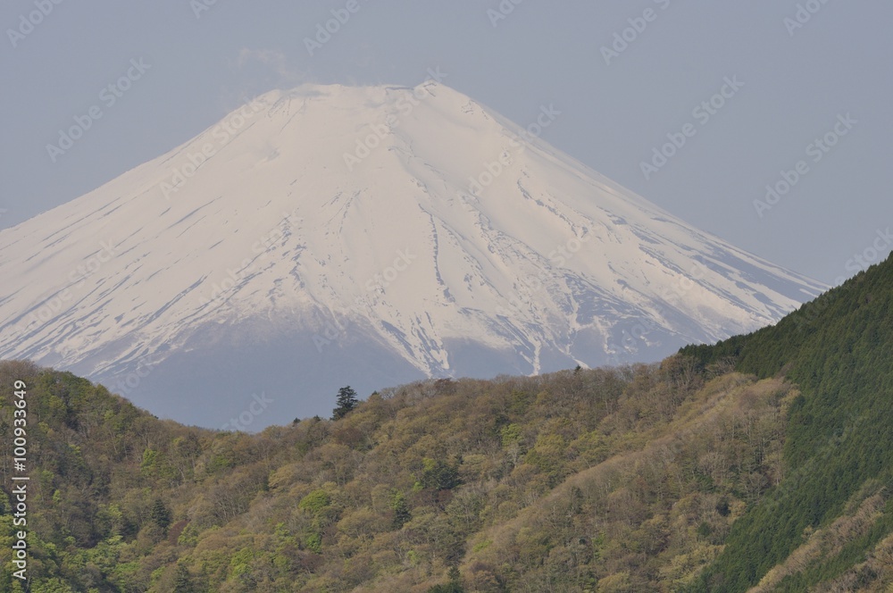 加入道山からの富士山