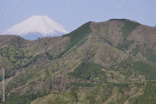 Fototapeta Naklejka Na Ścianę i Meble -  加入道山からの富士山