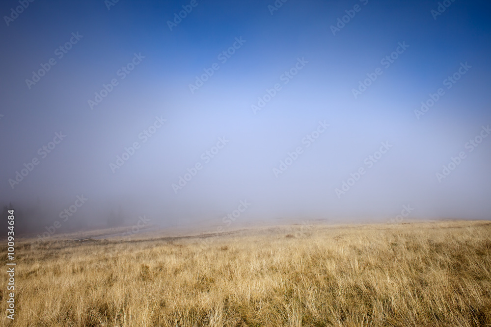 Mist at Meadow