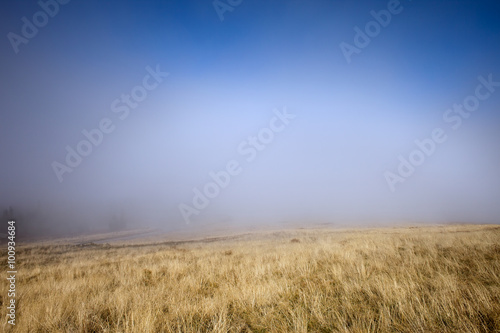 Mist at Meadow