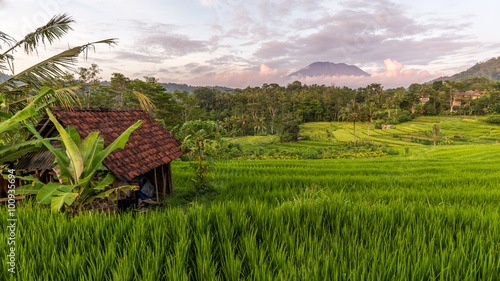 View of rice field and mountain in Sidemen, Bali, Indonesia