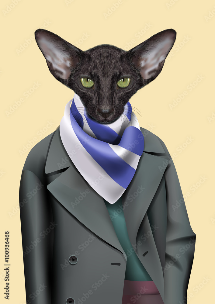 Black Cat boy dressed up in casual city style. Vector Illustration