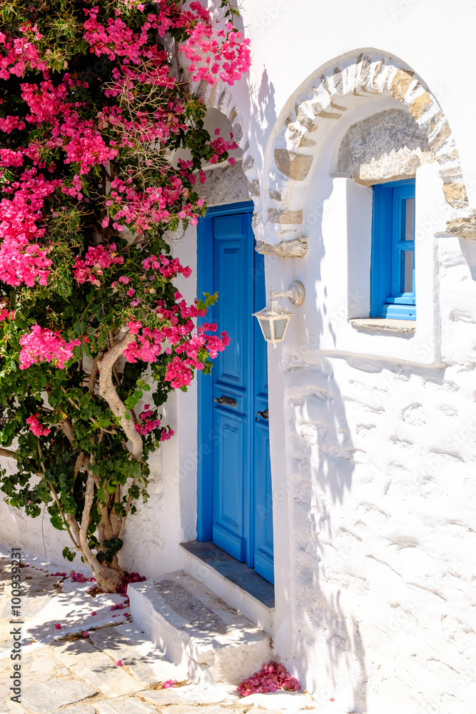 Fototapeta Kolorowi drzwi i kwiaty w białej śródziemnomorskiej ulicie, Amorgo