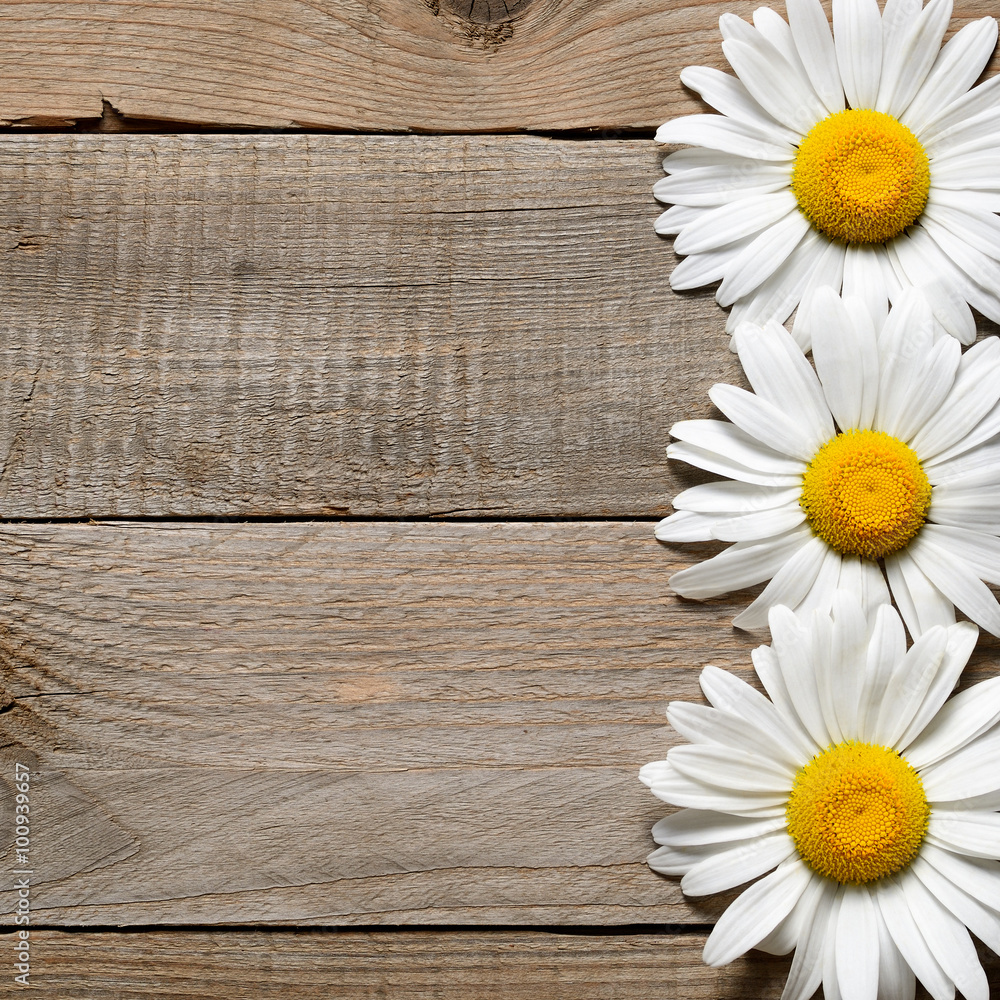 Fototapeta premium Daisy flowers on old wooden background top view
