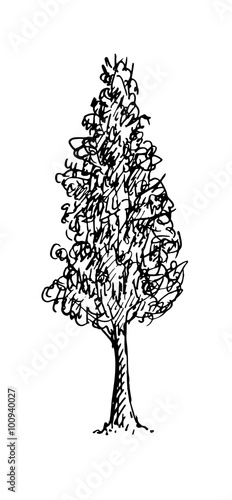 Black and white sketch of a tree. Vector illustration