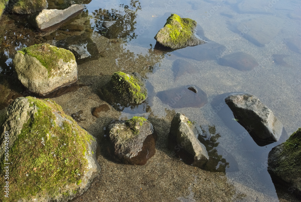苔の付いた湖畔の石 苔の付いた湖畔の石