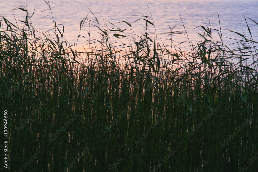 Lake landscape Lake landscape