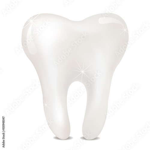 Tooth on a white background. isolated