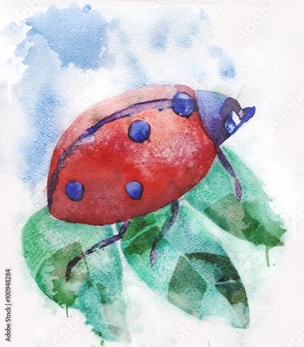 Wallpaper Mural illustration insect ladybug on a leaf Torontodigital.ca