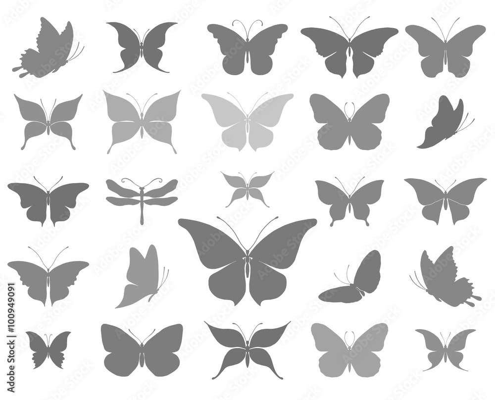 Butterflies graphic silhouettes Butterflies graphic silhouettes