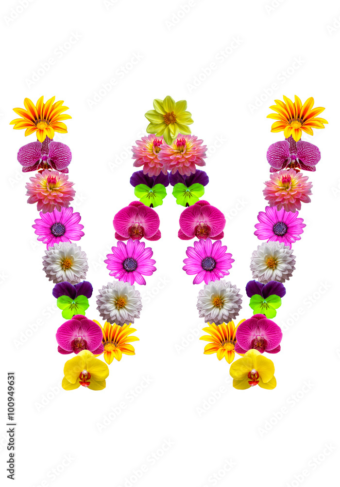 W, flower alphabet isolated on white W, flower alphabet isolated on white