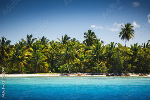 Palm trees on the tropical beach, Saona Island, Dominican Republ © ValentinValkov