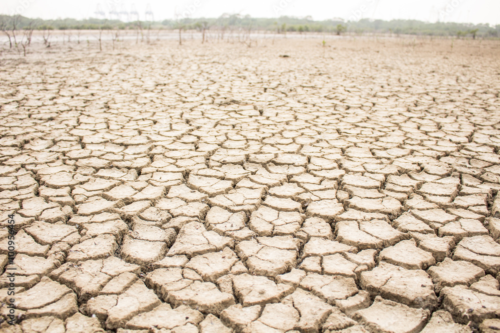 Drought, global warming, environment changes suddenly. Drought, global warming, environment changes suddenly.