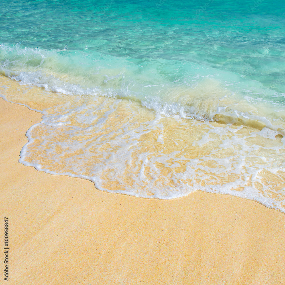 Soft wave of the tropical sea on the sandy beach