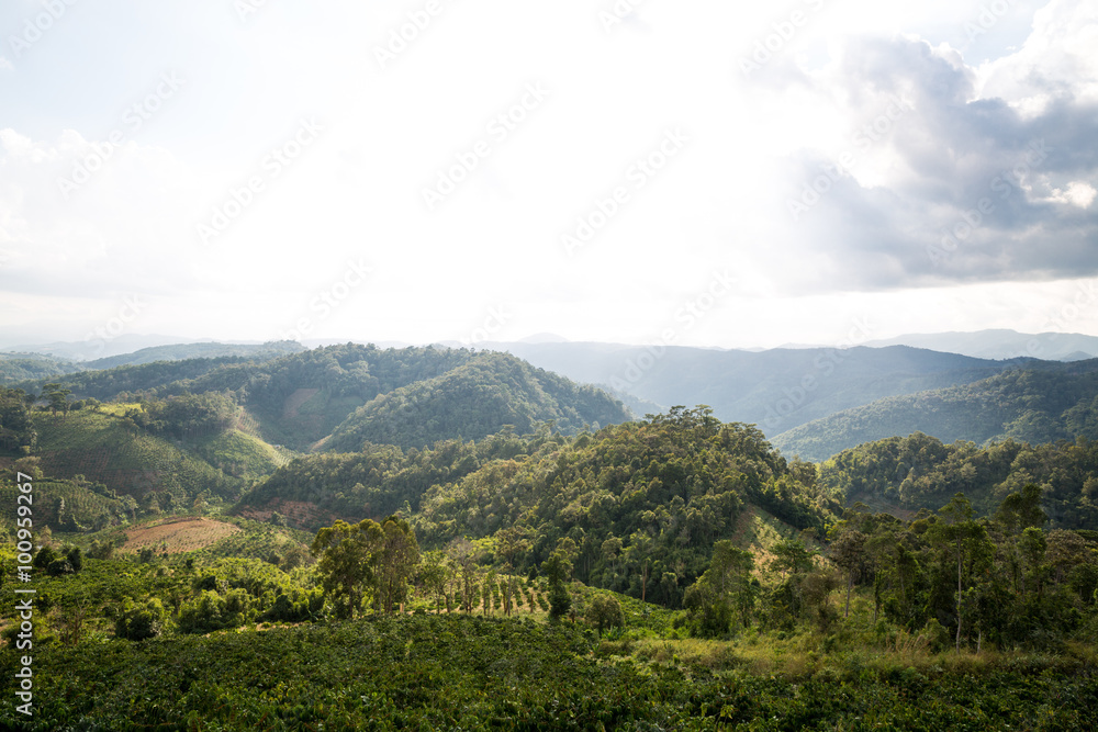 Hochland im Süden von Vietnam Hochland im Süden von Vietnam