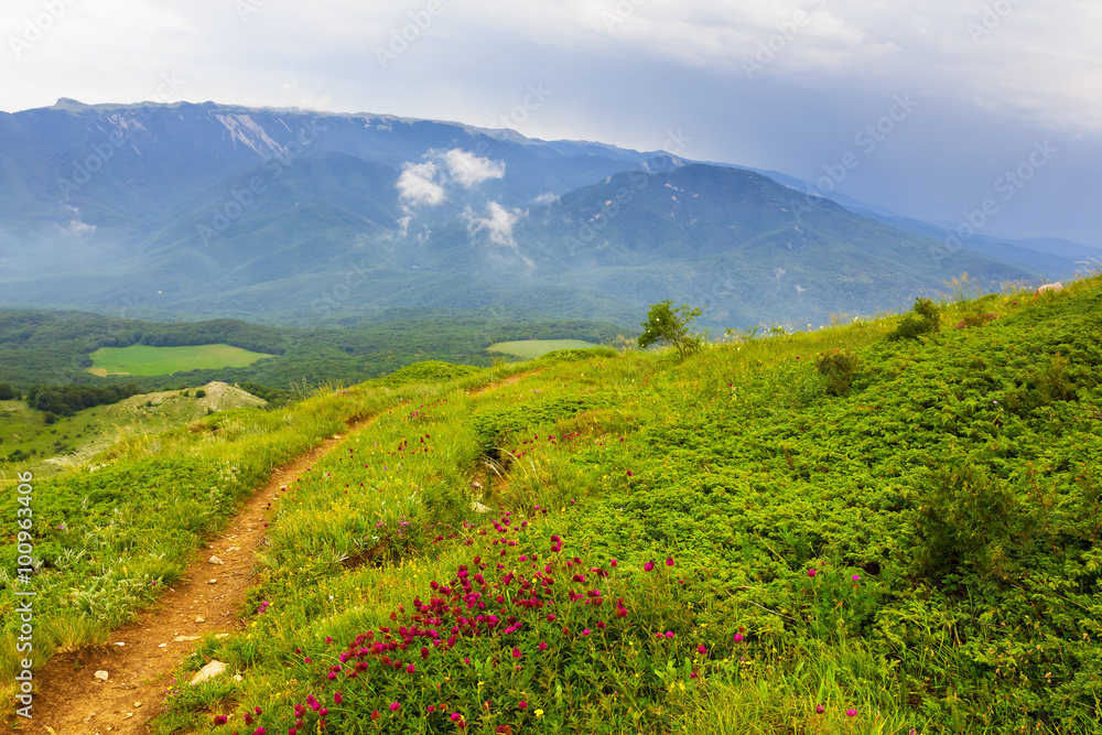 green mountains landscape