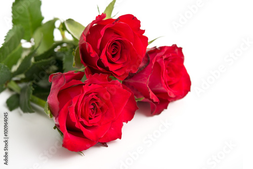 Drei rote Rosen © womue