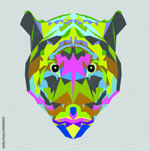Fototapeta Naklejka Na Ścianę i Meble -  tiger  poligon