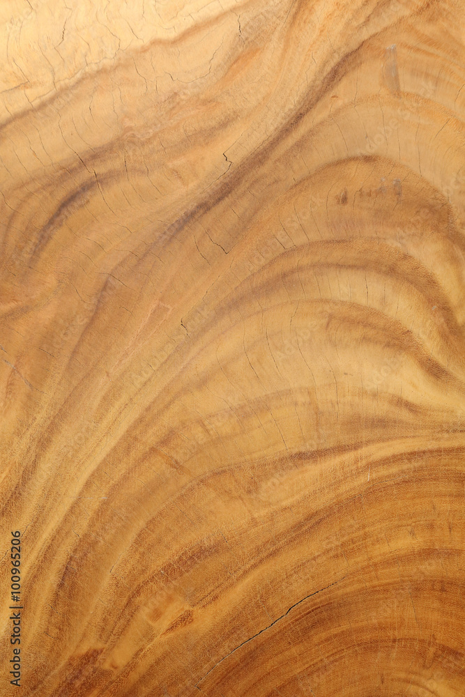 wood texture wood texture