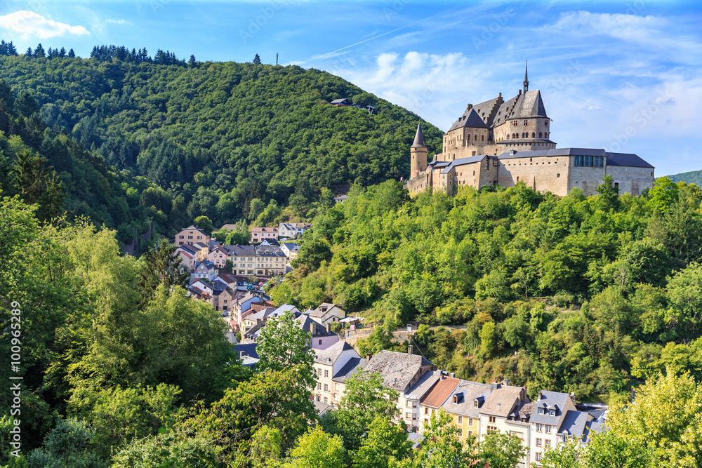 Vianden castle and a small valley - obrazy, fototapety, plakaty 