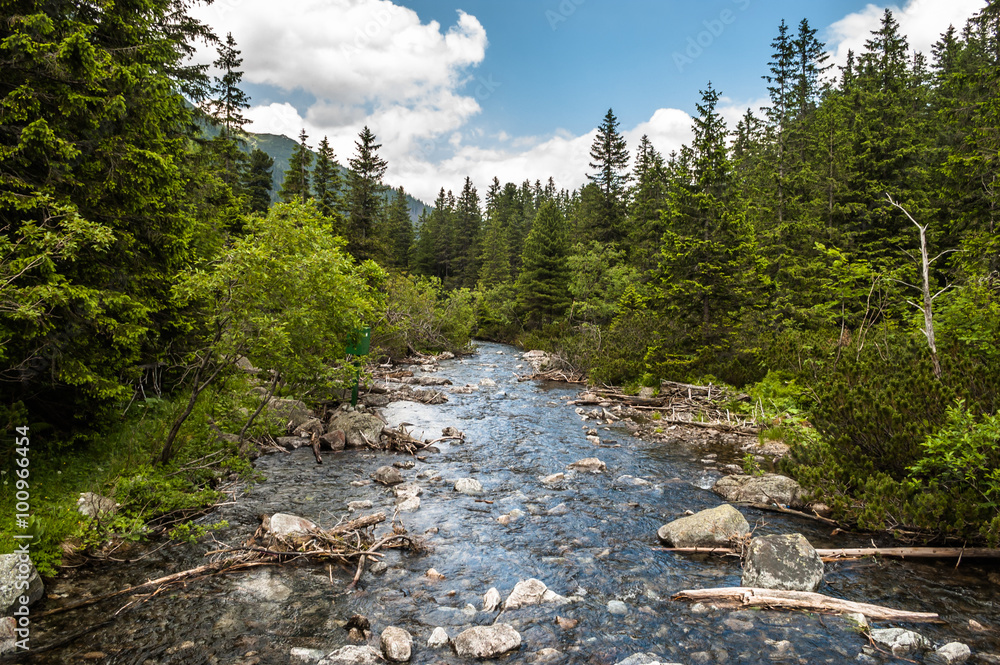 Landscape with river in mountains among trees. Rybi Potok, Dolin Landscape with river in mountains among trees. Rybi Potok, Dolin