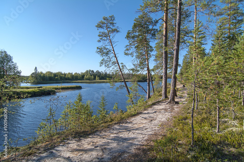 The path that goes through the pine forest on the high sandy riv