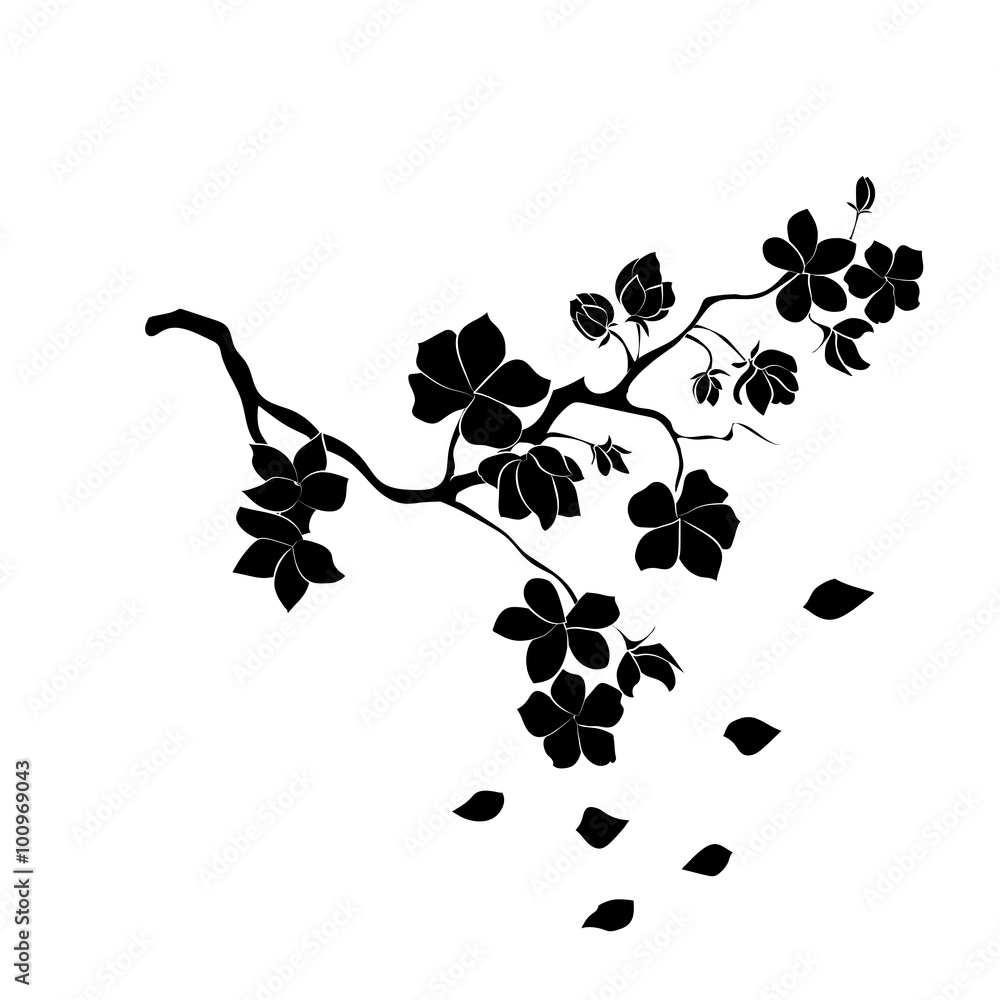 Fototapeta premium twig cherry blossoms