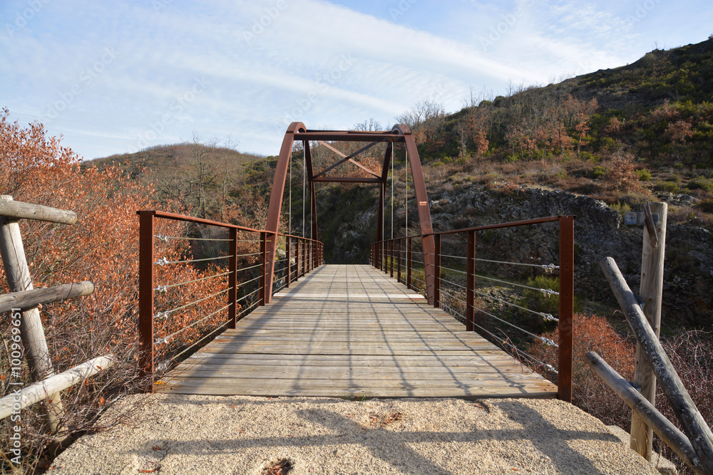 puente de madera en un camino de montaña