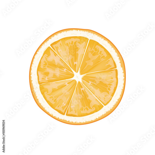 Slice of orange. Half of a orange, juicy slice of fruit.