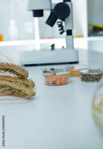 Fototapeta Naklejka Na Ścianę i Meble -  Chemical Laboratory of the Food supply . Food in laboratory, dna modify